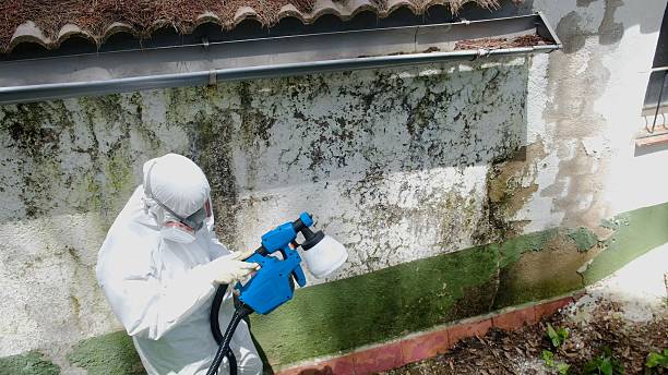 Top rated local Mold Removal specialists in Onancock, VA